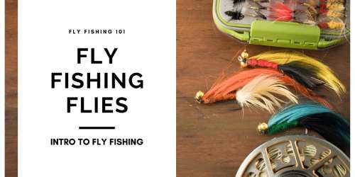 fly fishing flies