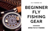 fly fishing gear for beginners