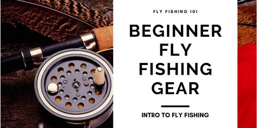 fly fishing gear for beginners